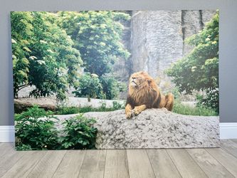 Lion Canvas  (60”X40”) XL Wall Art