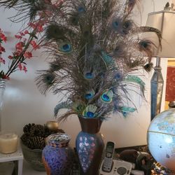 Peacock Feathers In Vase 