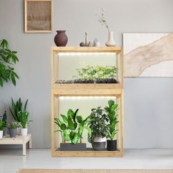 fish tank plant seeds Planted Aquarium Carpet Plant seed – PetzLifeWorld main image 0