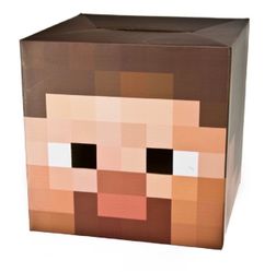 Minecraft Steve Head Costume Box HALLOWEEN