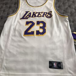 Lebron James Lakers Medium Men’s Jersey (White, And Purple)