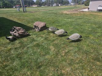 Decoys