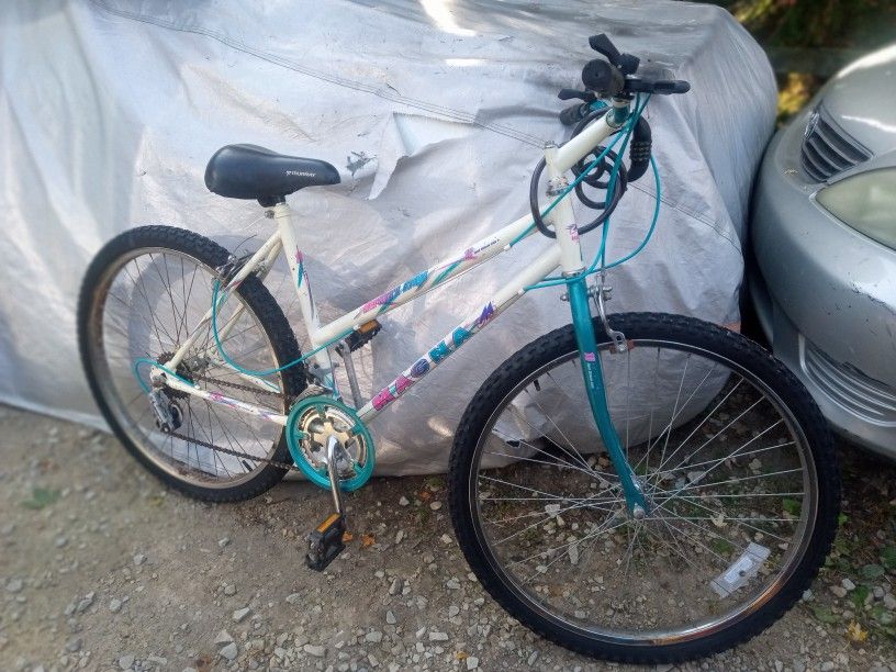 10 Speed Mountain Bike In Used Condition 