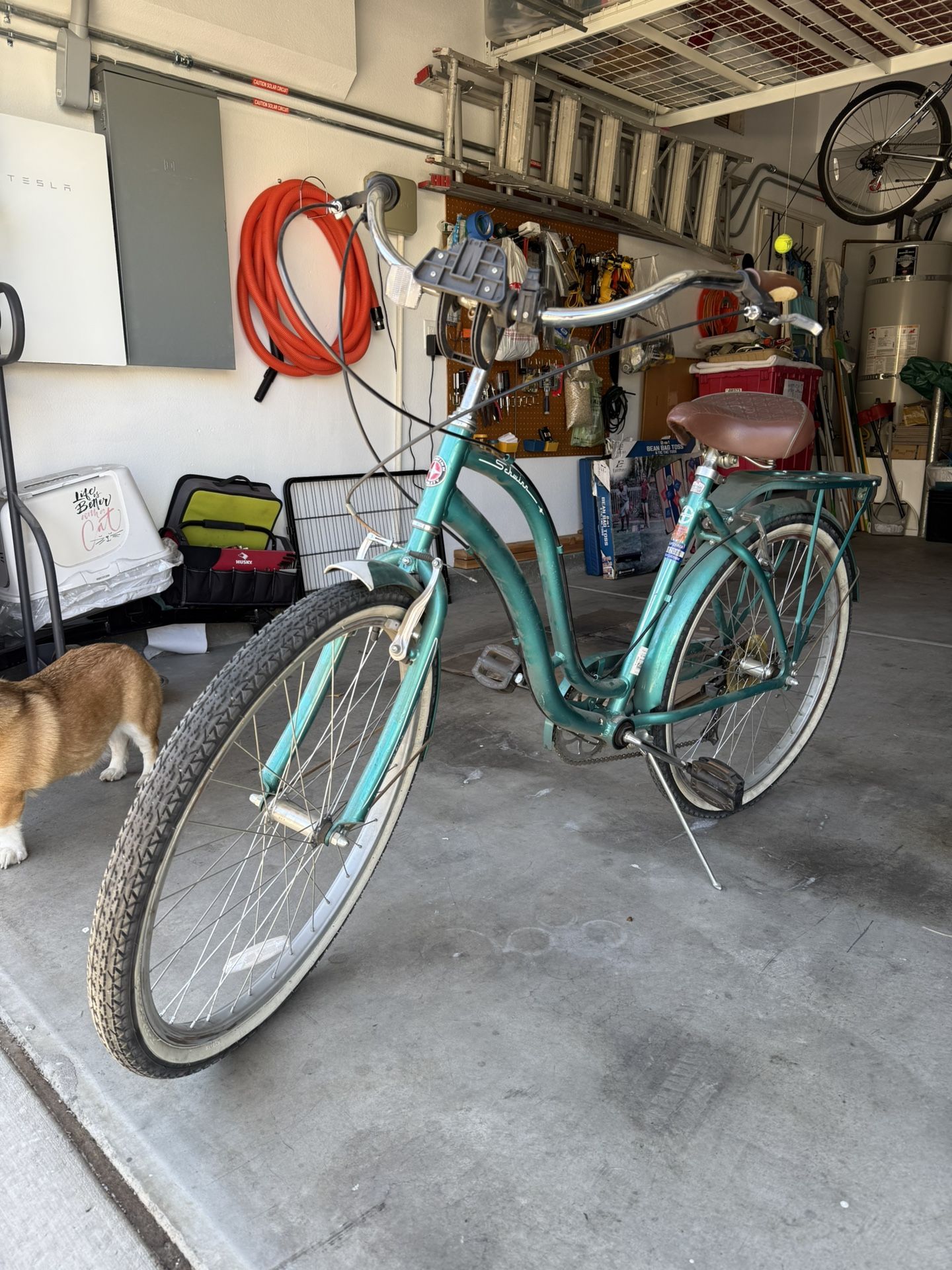 Schwinn Cruiser