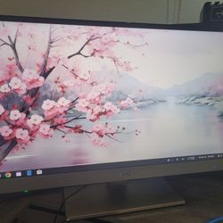 AOC 27 Inch Monitor