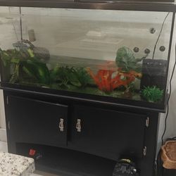 Fish Tank With Stand $100