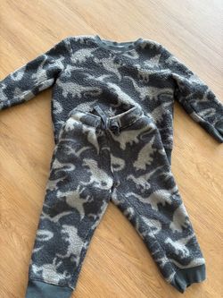 Dinosaur two piece set 4T