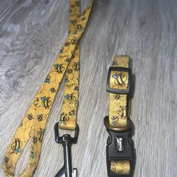 Matching Dog Leash And Collar