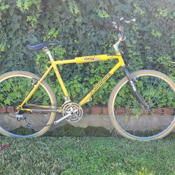 Kuwahara Lynx 26 BMX Klunker