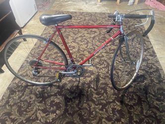 Nishiki Sebring bicycle