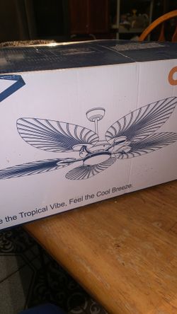 Outdoor Fan