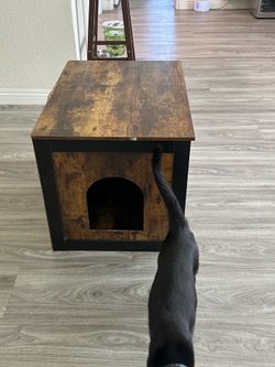 Litterbox- hiding cabinet