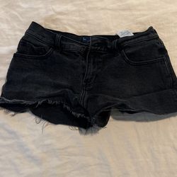Black Hollister Shorts