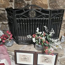 Beautiful Iron Fireplace Screen 