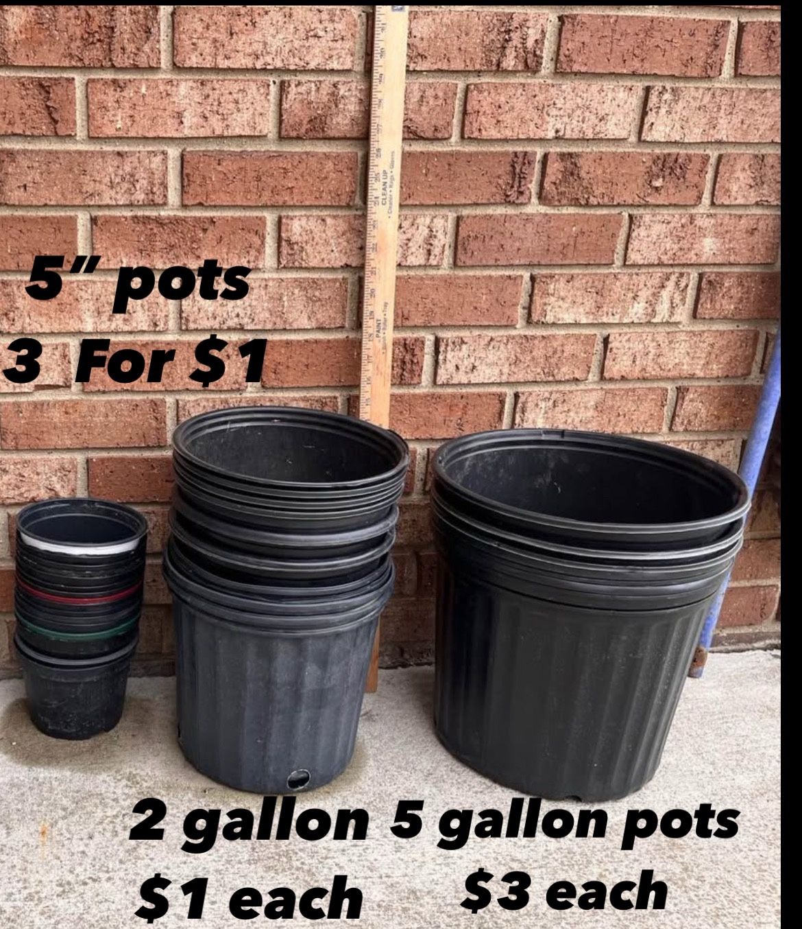 5 Gallon Pots