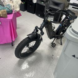 Electric Bike