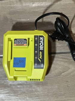 ryobi 40-Volt Lithium-Ion Fast Charger(normal wear)