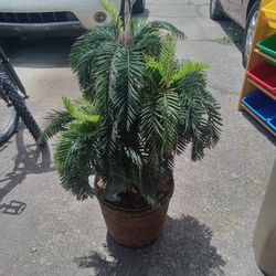 Artificial Palm Tree