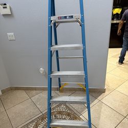 Werner 6 ft. Fiberglass Step Ladder (10 ft. Reach Height) with 250 lb. Load Capacity Type I Duty Rating