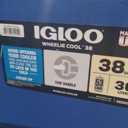 Igloo Cooler 