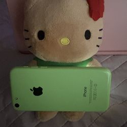 iPhone 5c Digital Camera 