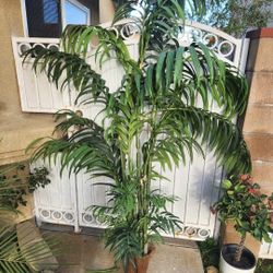 Artificial Palm Tree