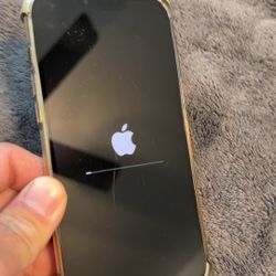 Green iPhone 13 Pro Max 