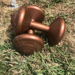 Premium Dumbbell’s 6.6 Lbs Each