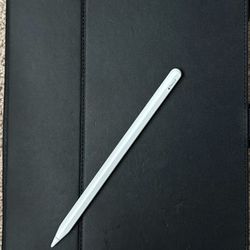 Apple Pencil 2nd Generation And iPad Air Speck Case