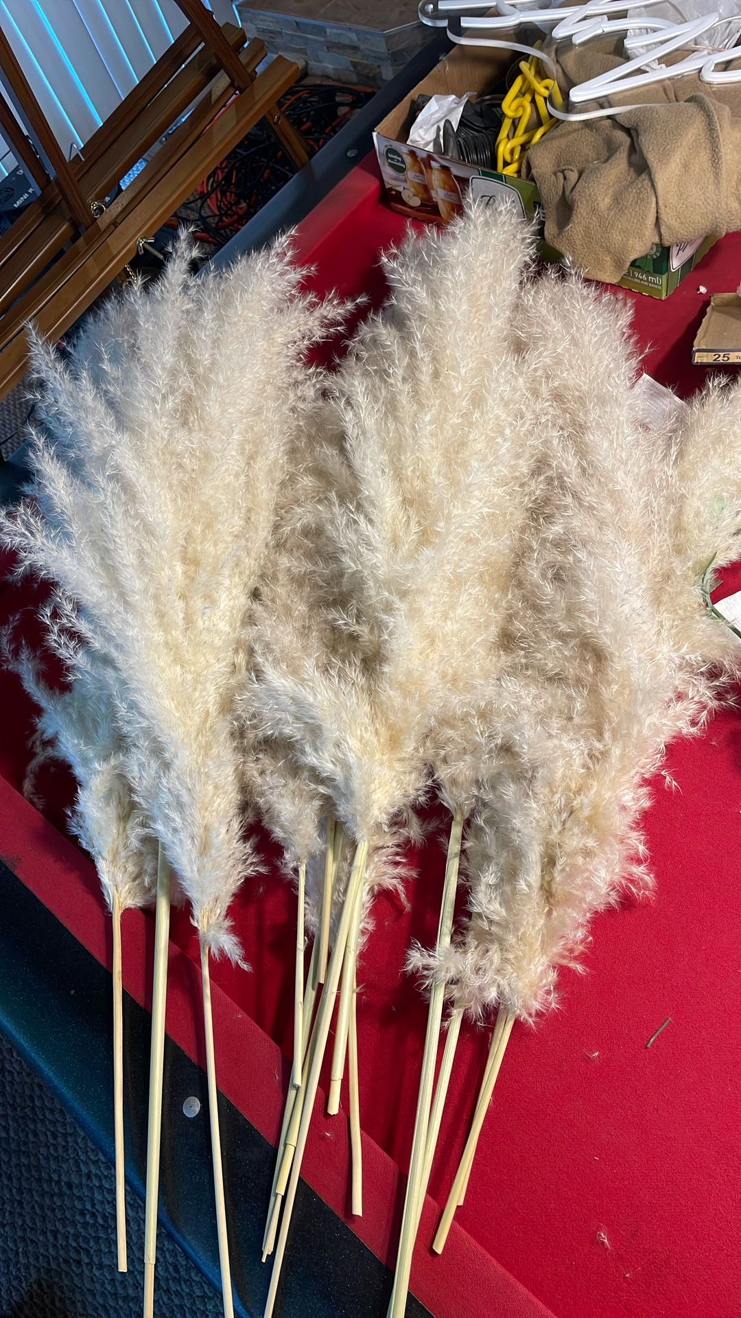 Pampas Grass For Wedding