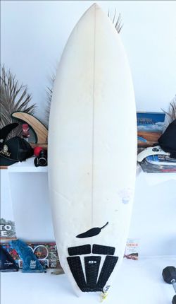 surfboard chilli