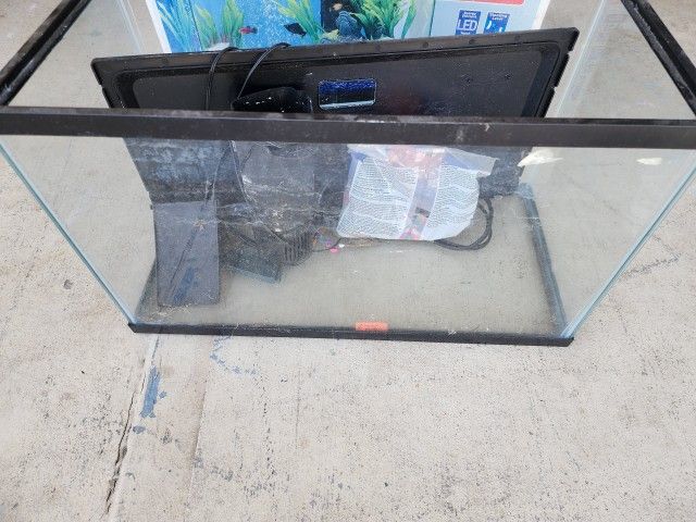 Ten Gallon Fish Tank