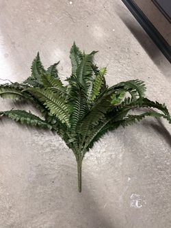 faux ferns stems