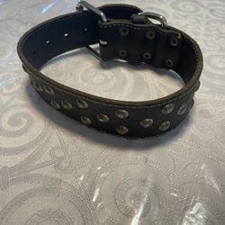 Dog Collar