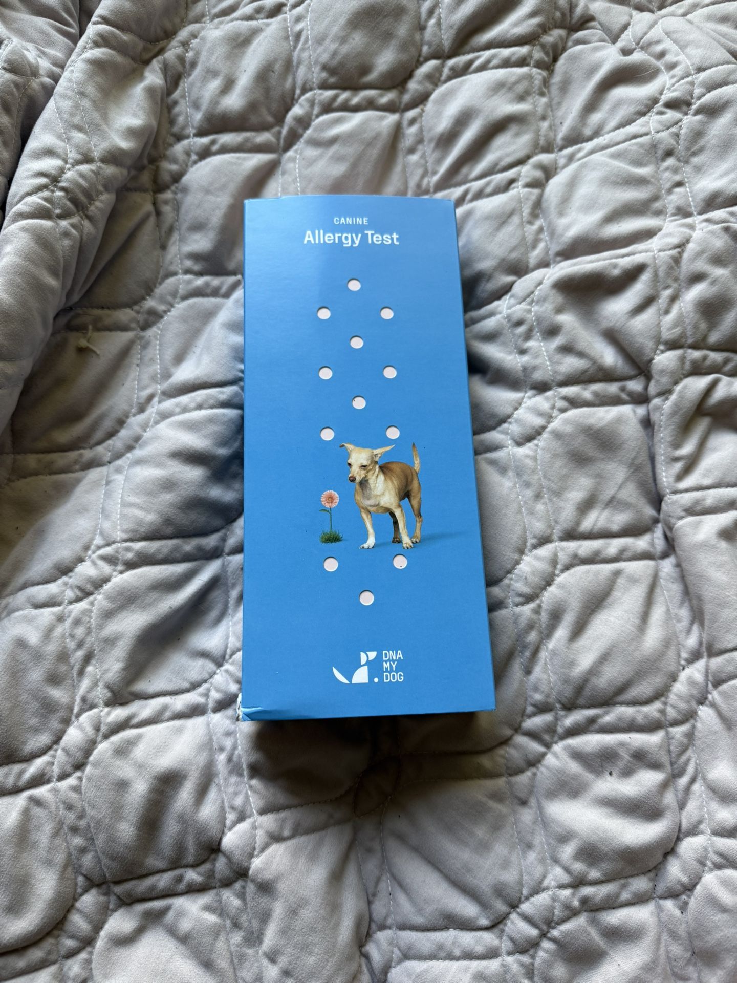 Dog Allergy Test