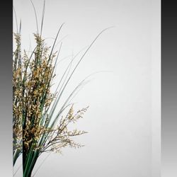 Alno 2000 Series 15" x 25" Single Door Recessed Mirrored Bathroom Medicine Cabinet