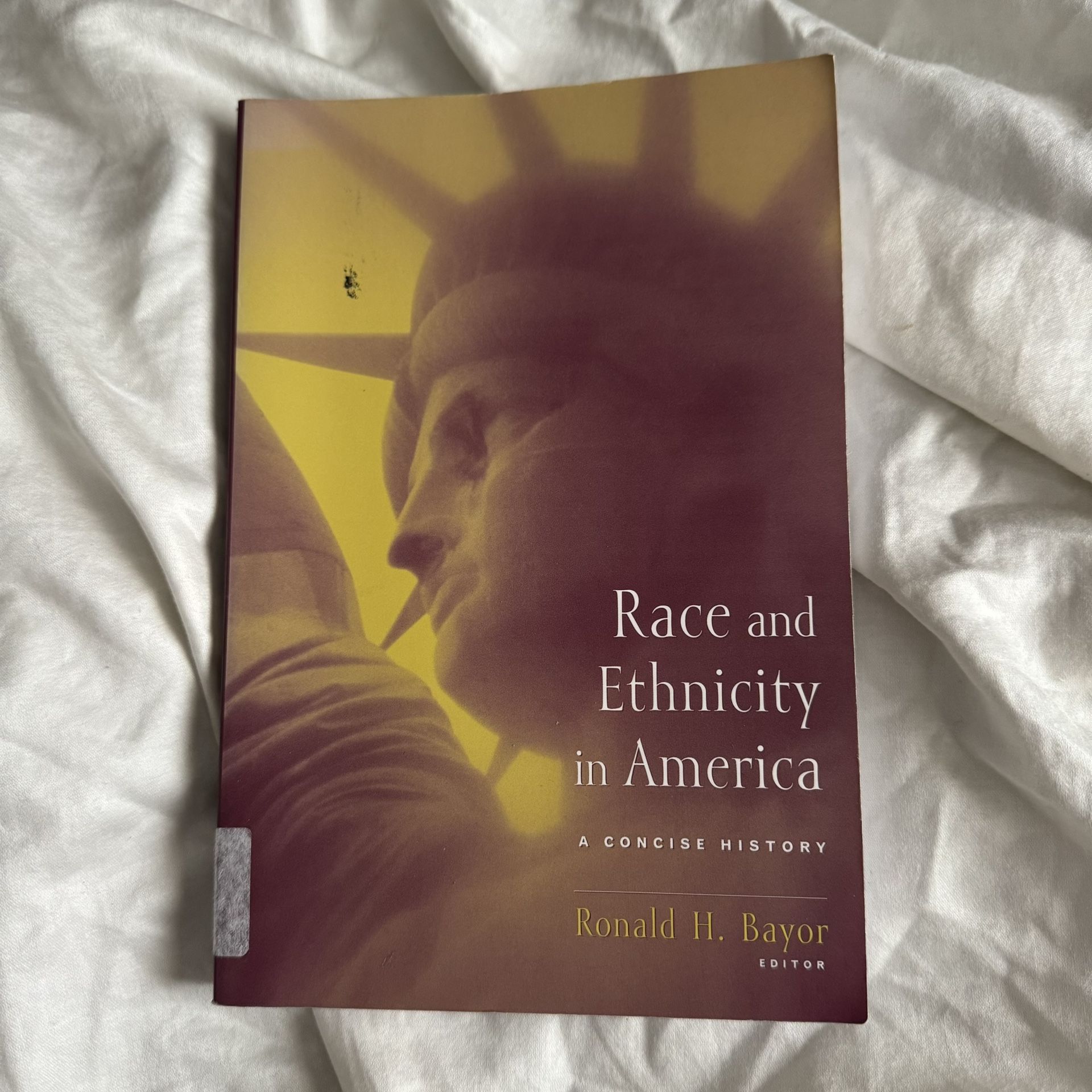 Race And Ethnicity In America 