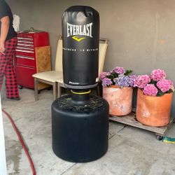 Everlast Standing Punching Bag