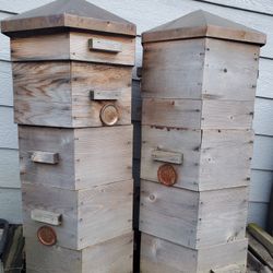 Warre Beehive
