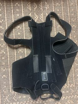 Small dog  brace