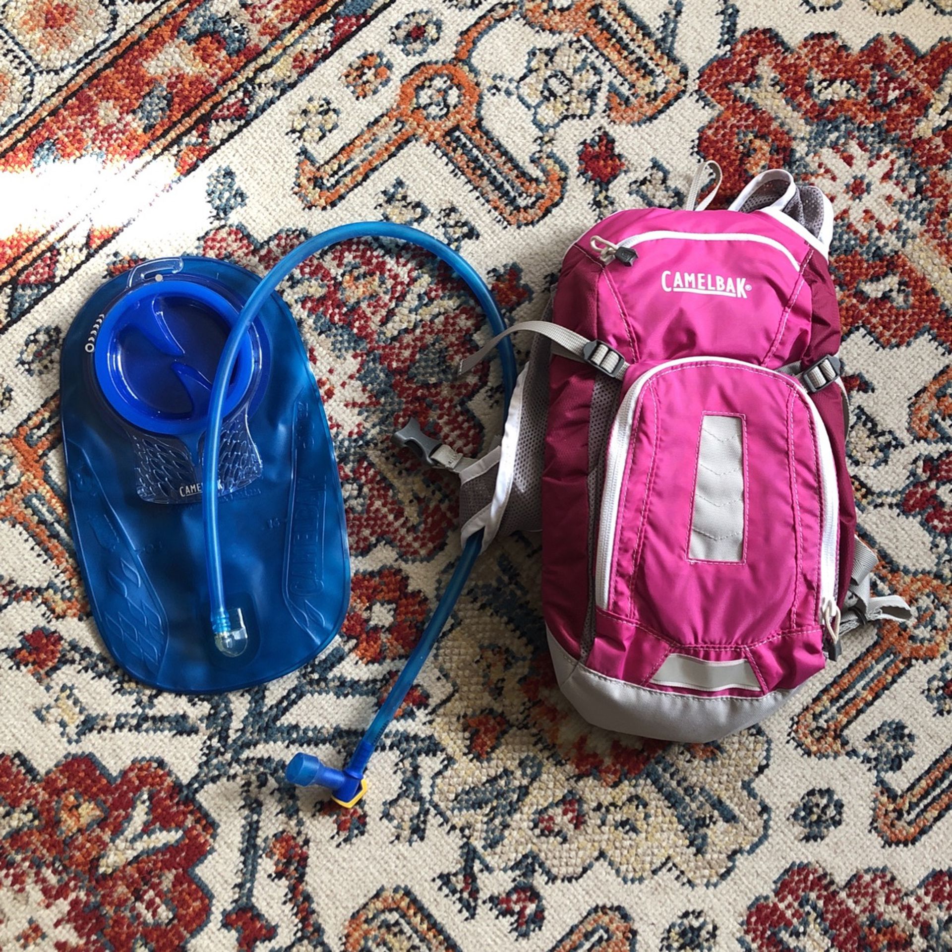 50 oz. Camelback Drinking Pouch And Backpack