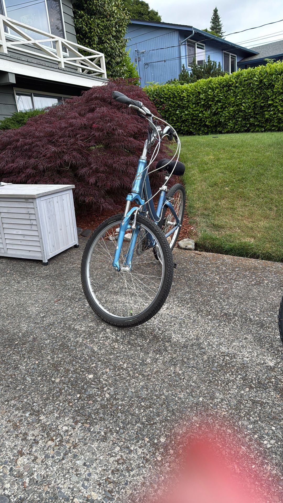 Giant Women's bike
