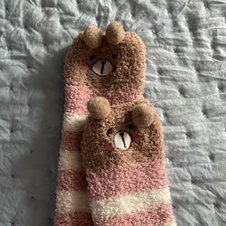 bear thigh high socks