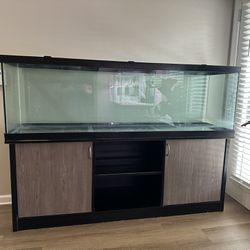 Fish Tank 125 gallons Come With FX4- Light 