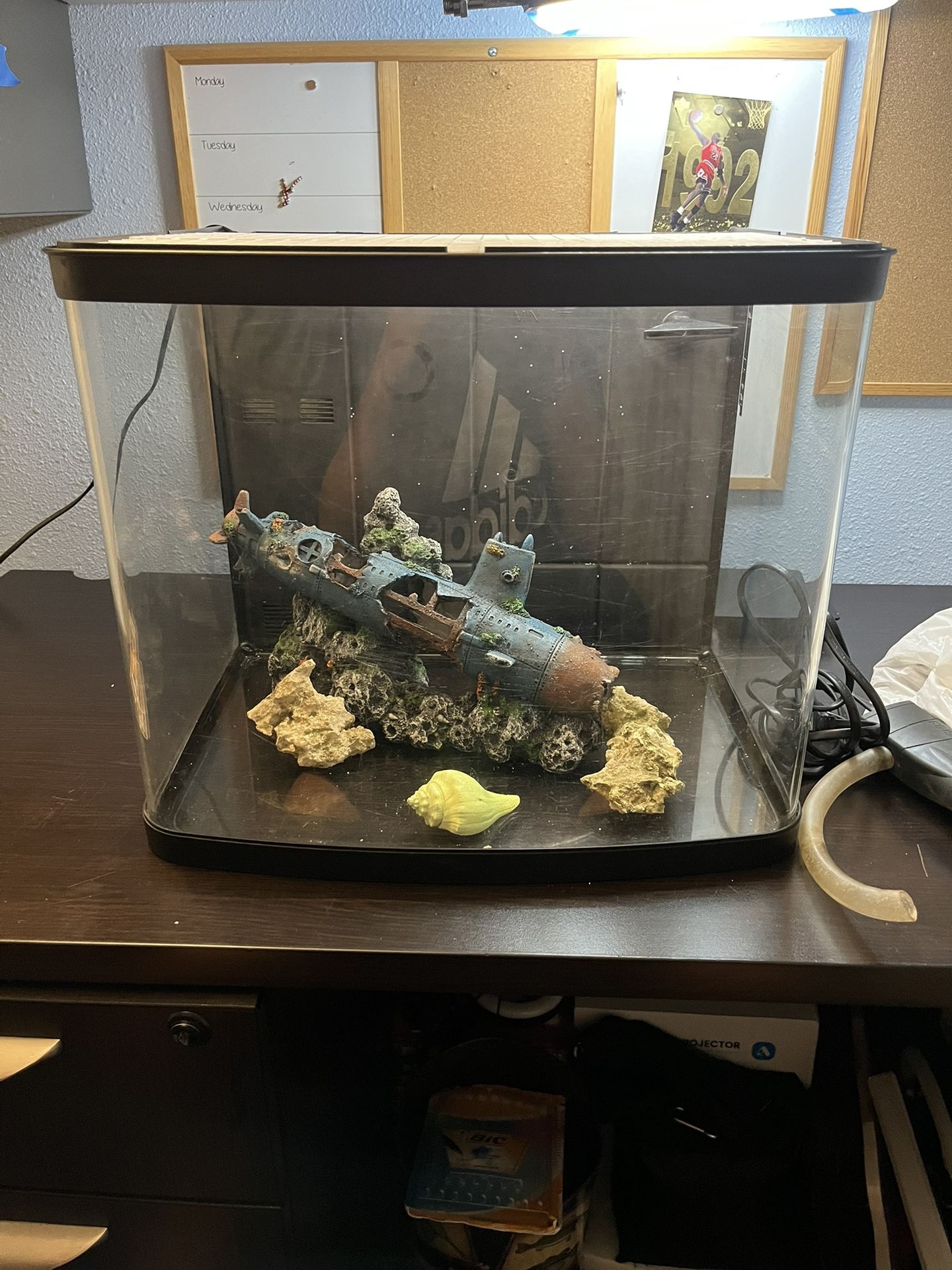 Curved 12 Gallon Fish Tank