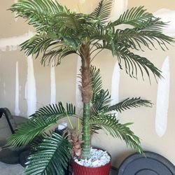 Beautiful Plant with Vase