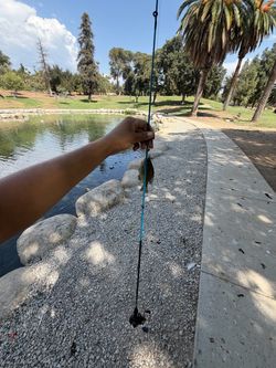 kastking bait caster
