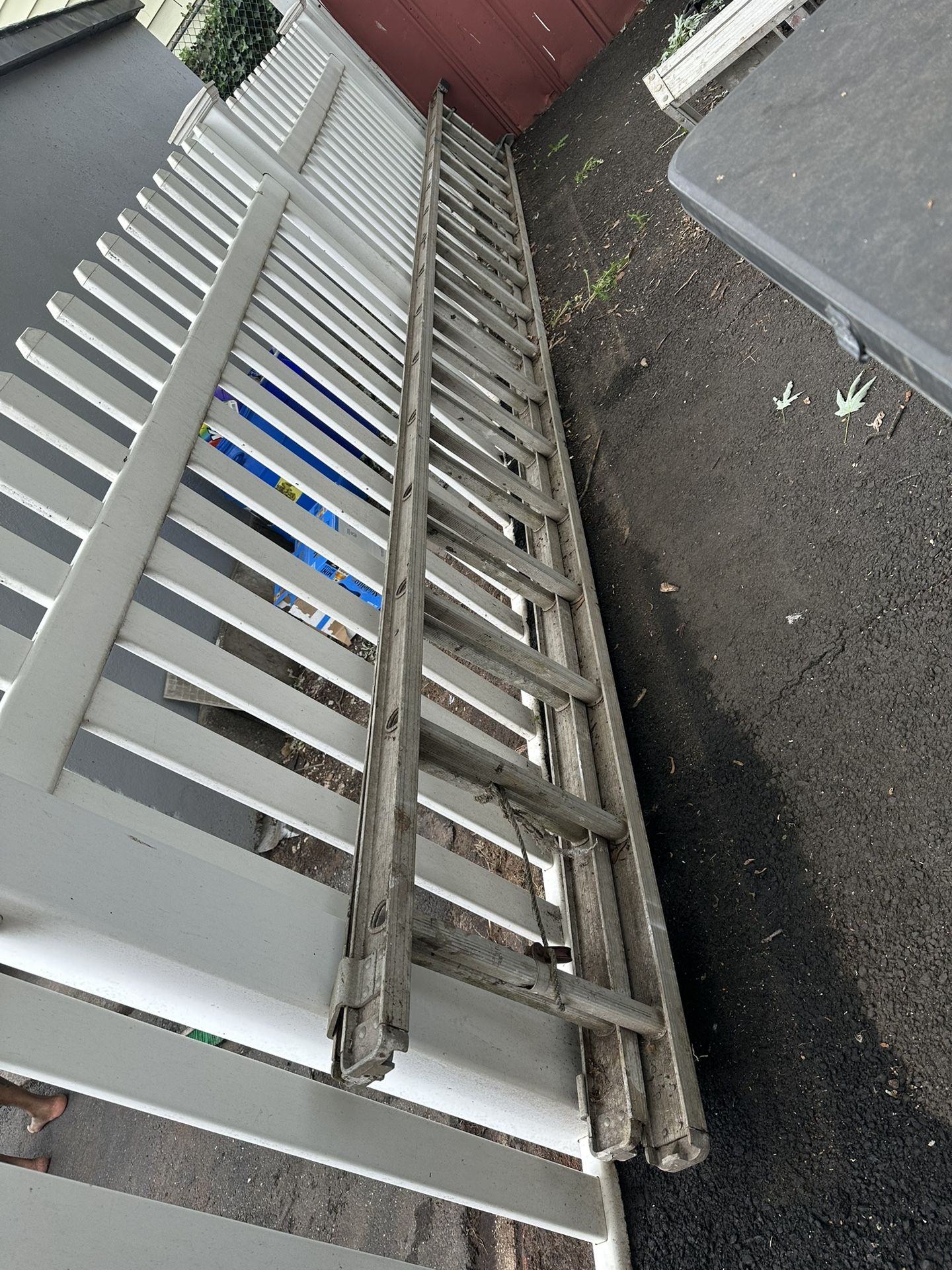 Ladder