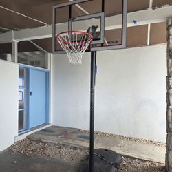 Lifetime Adjustable Basketball Hoop