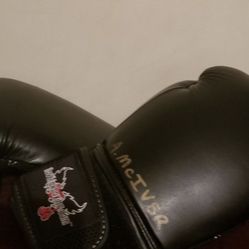 Boxing  Gloves   I Love  Kickboxing’s 